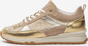 Baskets basses 'Mari 03' Floris van Bommel en or : devant