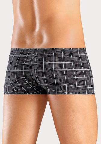 H.I.S Boxershorts in Mischfarben