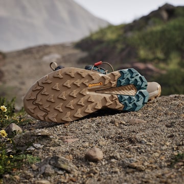 Chaussure basse 'Trailmaker 2' ADIDAS TERREX en marron