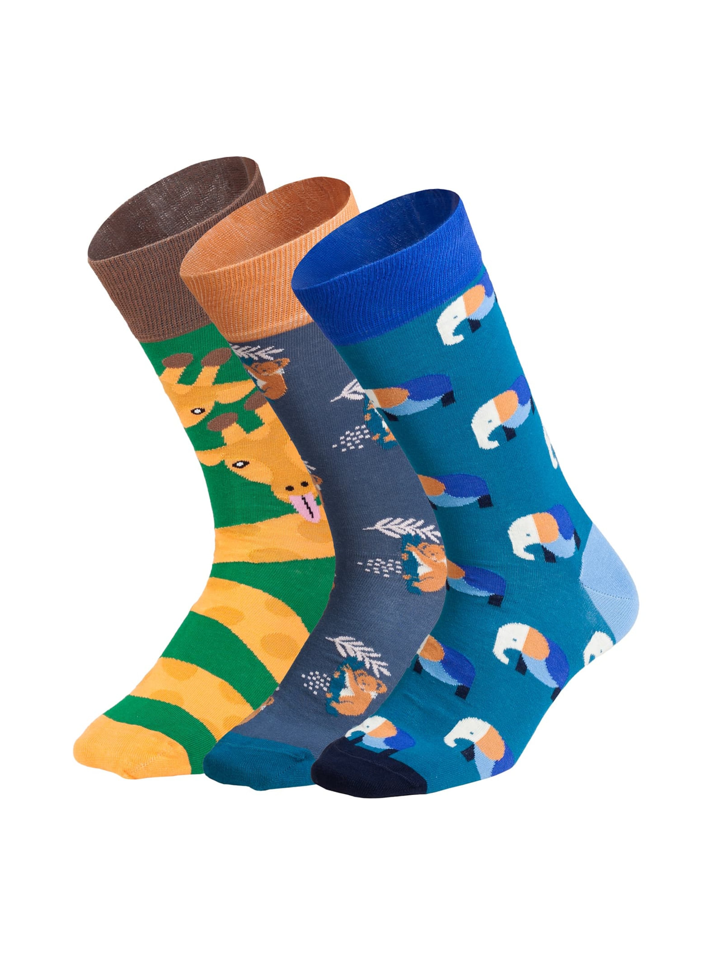 DillySocks Socken 'Wild Steps' in Mischfarben: Vorderseite