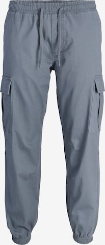 JACK & JONES - Tapered Pantalón cargo 'JPSTKane Dylan' en gris: frente