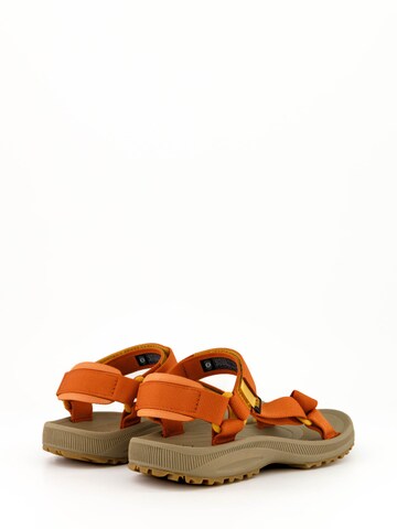 TEVA Sandal 'Winsted' in Orange