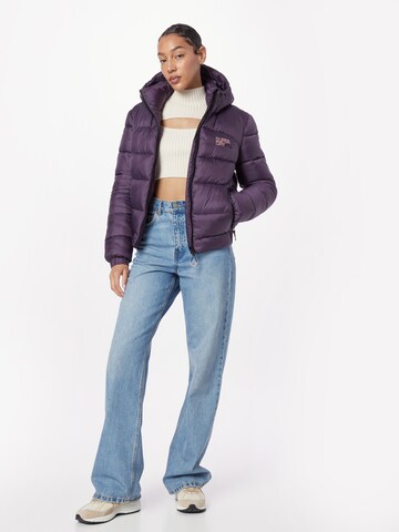 Superdry Winter Jacket in Purple