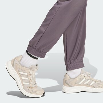 ADIDAS SPORTSWEAR Tapered Παντελόνι φόρμας 'Essentials' σε γκρι