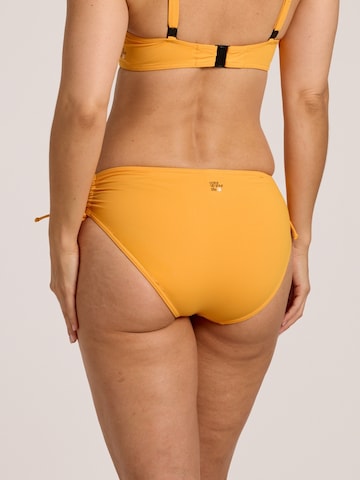 SUNFLAIR Bikini bottom in Yellow