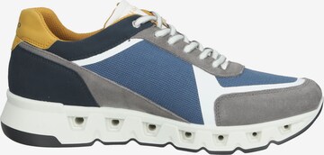 IGI&CO Sneakers in Mixed colors