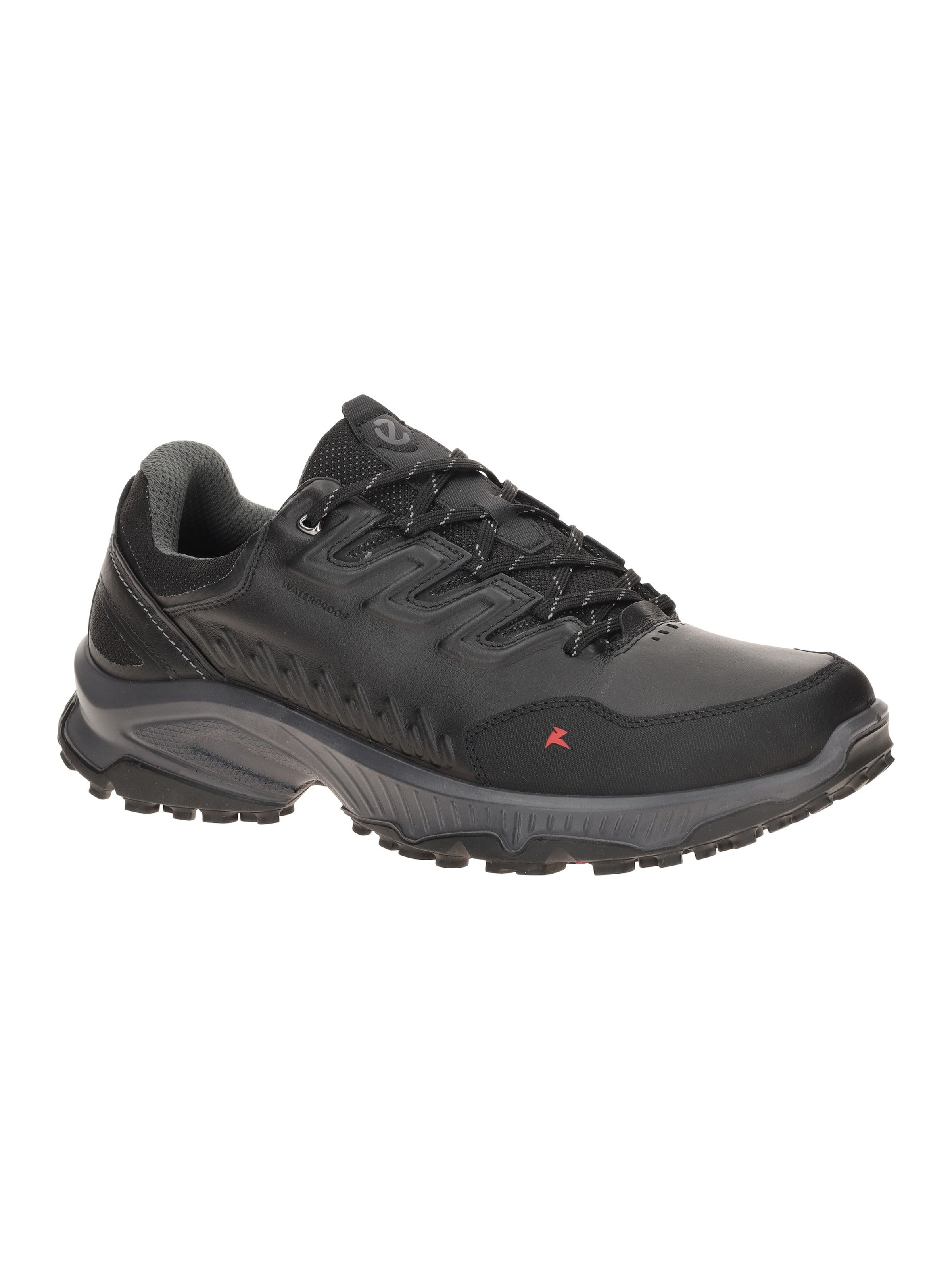 ECCO Lace-Up Shoes 'Ecco Receptor Schuhe schwarz Herren Waterproof 854314' in Black: front