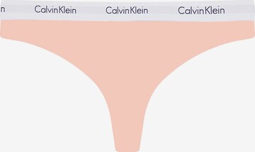 Calvin Klein Underwear Plus Tanga – : přední strana