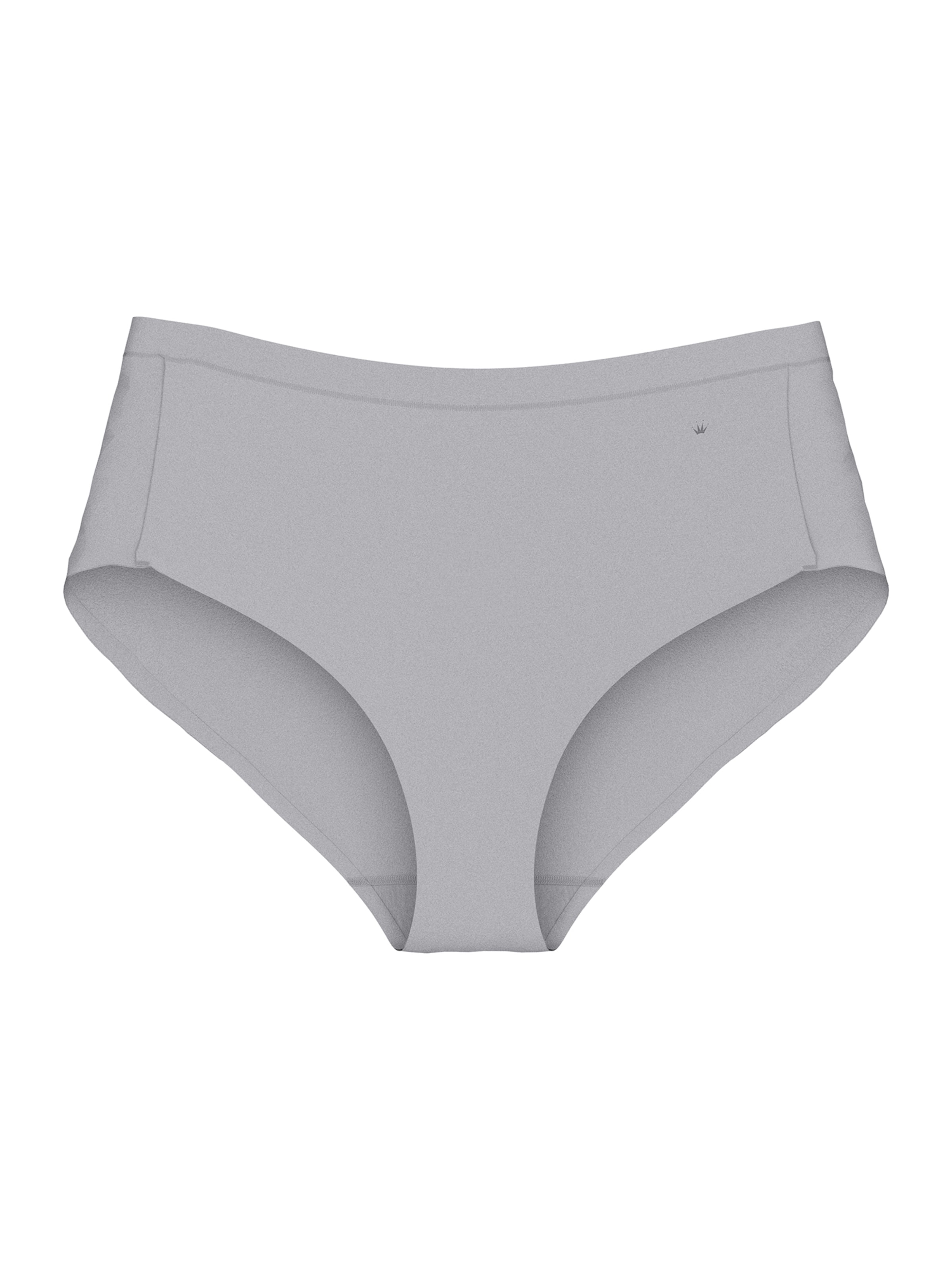 TRIUMPH Maxislip ' Red Label Smart Natural ' in Grau: Vorderseite