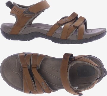 TEVA Sandals & High-Heeled Sandals in 38 in Brown: front