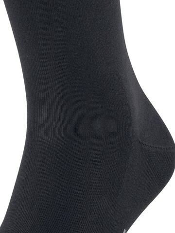 FALKE Socks 'Cool 24/7' in Blue