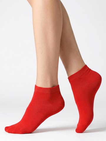footstar Socks 'EVERYDAY!' in Red