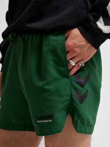Hummel Board shorts 'Ned' in Green