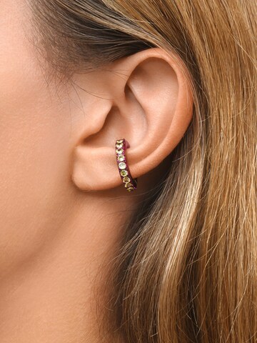 YParis Oorbellen 'Ear cuff Abi L LP' in Roze