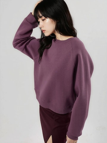 Busem Sweatshirt in Lila