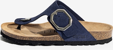 Bayton Varbavaheplätu 'Mercure', värv sinine: eest vaates