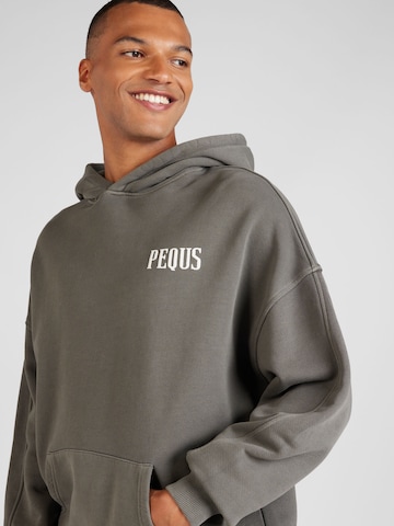 Pequs Sweatshirt in Grijs
