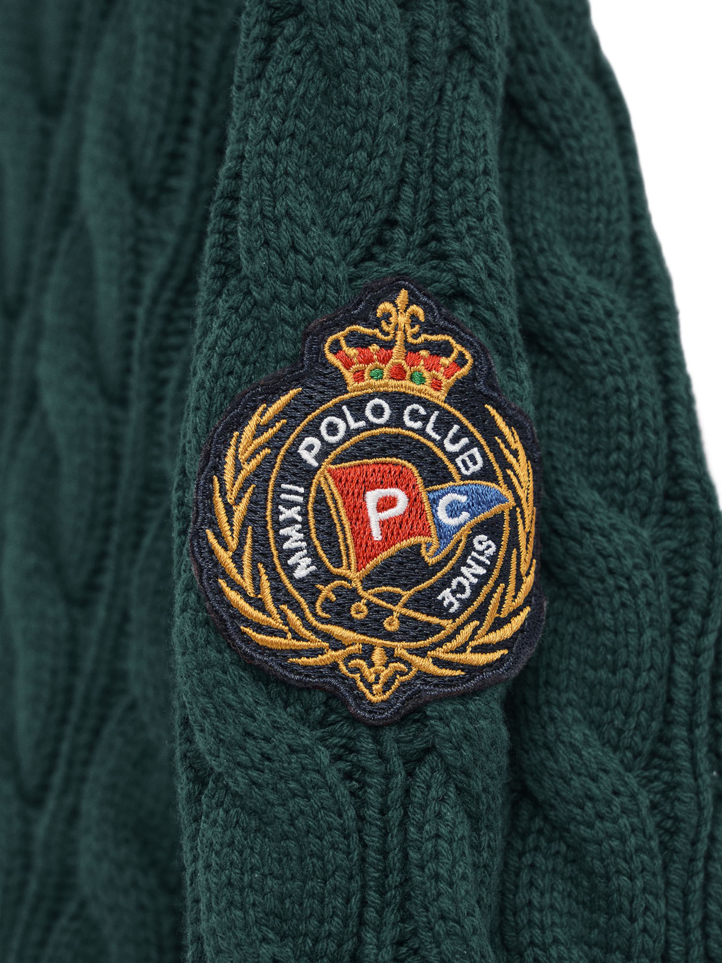 Polo Club Pullover in Grün