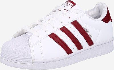 ADIDAS ORIGINALS Tenisky 'SUPERSTAR' - tmavočervená / biela, Produkt