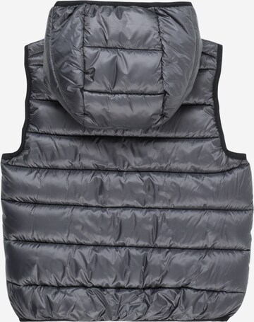 Champion Authentic Athletic Apparel Bodywarmer 'Legacy' in Grijs