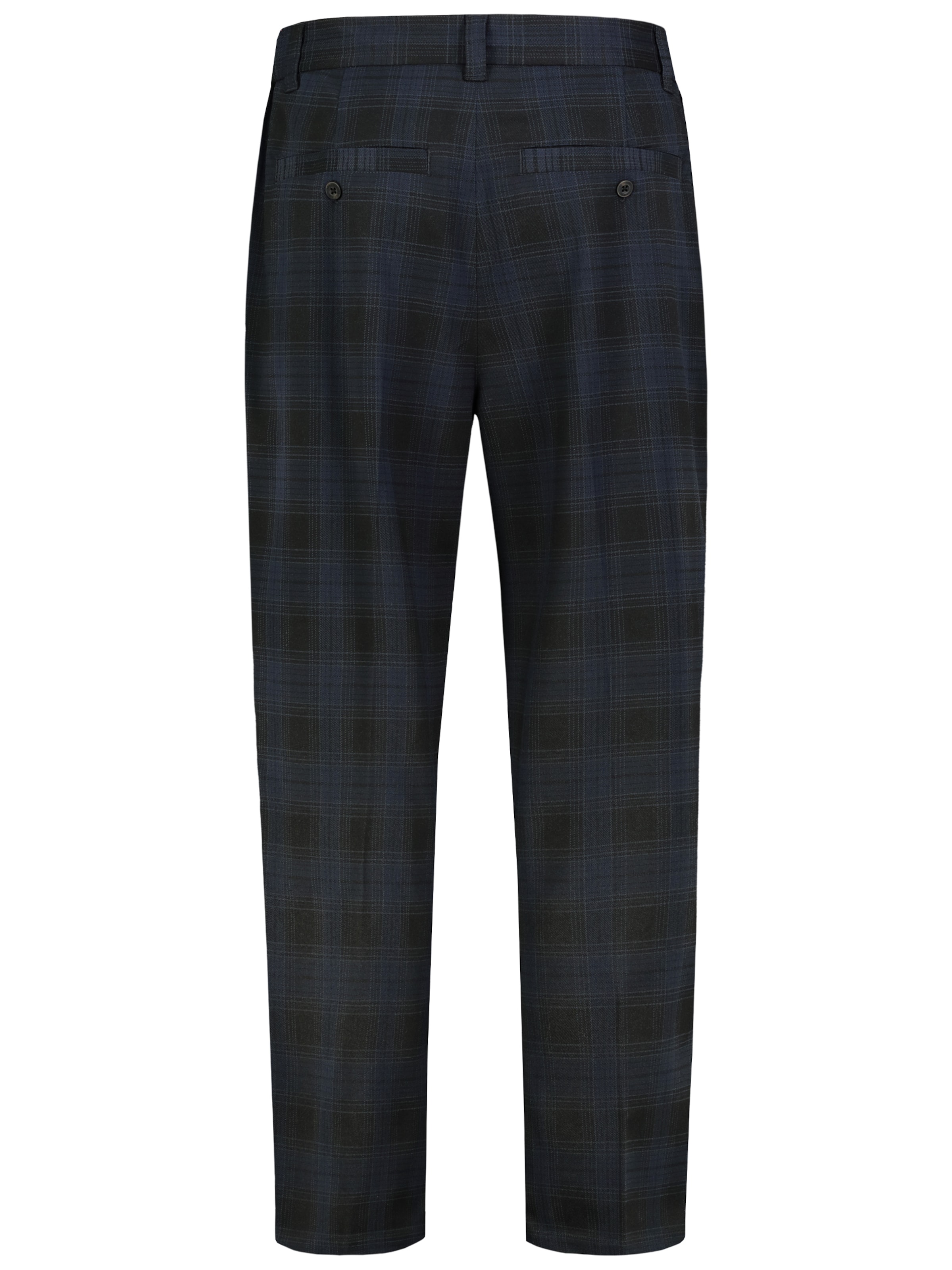 Sublevel Wide leg Pleat-Front Pants in Blue