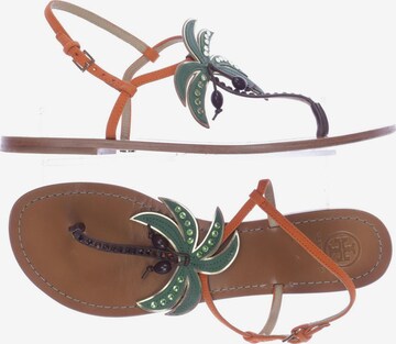 Tory Burch Sandalen 42,5 in Mischfarben: predná strana