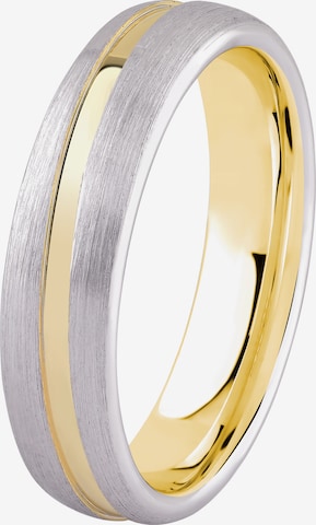 DOOSTI Ring in Silber: Vorderseite