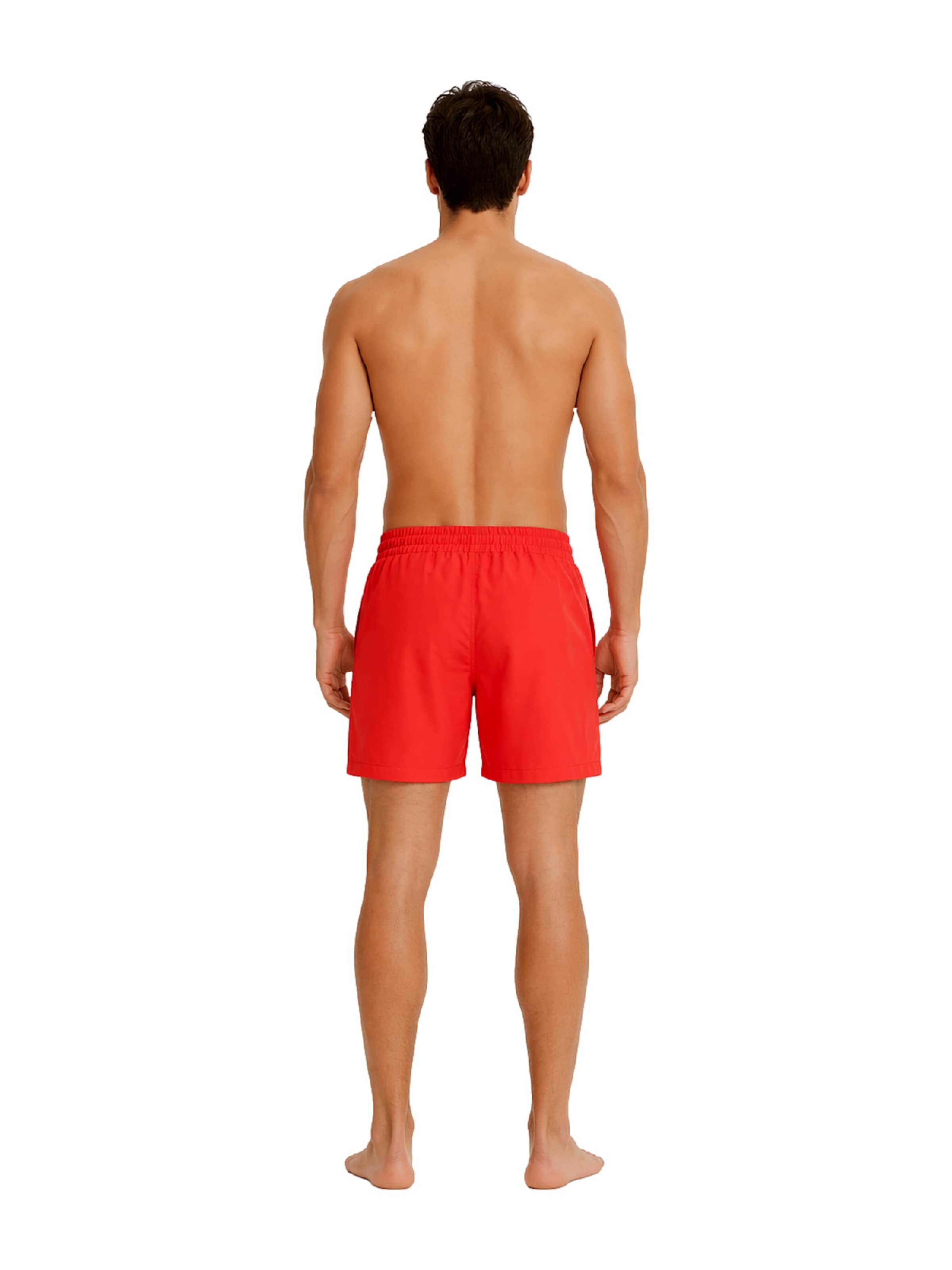 Regular Pantalon EA7 Emporio Armani en rouge