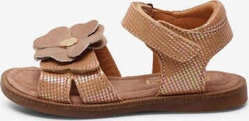 BISGAARD Sandals 'Barbara' in Brown