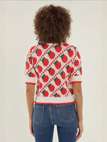 Pullover di Hiccup in rosso