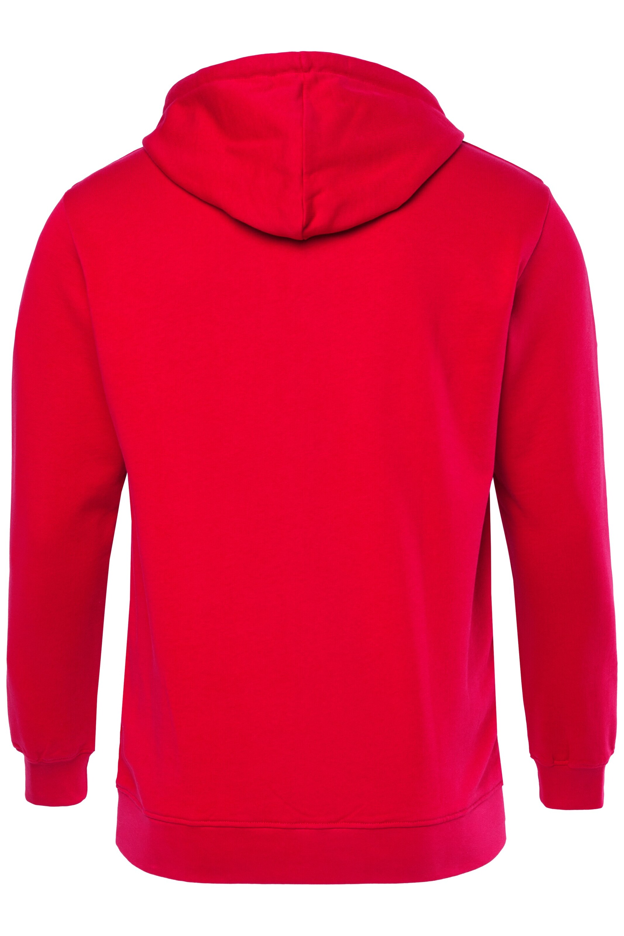 Men Plus Sweatshirt in Rood