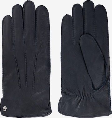 Roeckl Full Finger Gloves in Blue: front