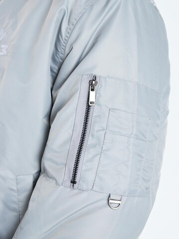 Dxnmxrk Winterjacke 'DXFrost' in Grau