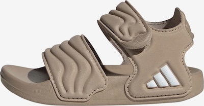 ADIDAS SPORTSWEAR Sandale 'Adilette' in 19 in braunmeliert / weiß, Produktansicht