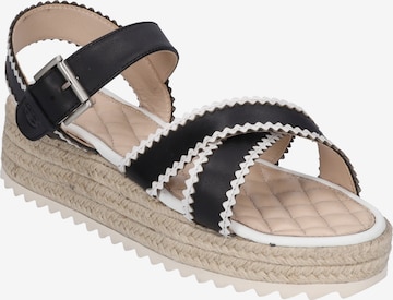 GERRY WEBER Strap Sandals 'Bari 01' in Black