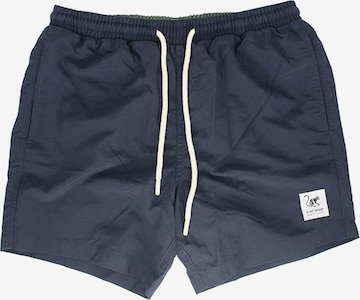 Surf Monkey Boardshorts in Blau: Vorderseite