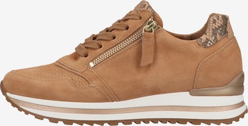 GABOR Sneaker in Braun