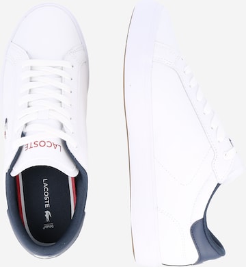 LACOSTE - Sapatilhas baixas 'Powercourt' em branco