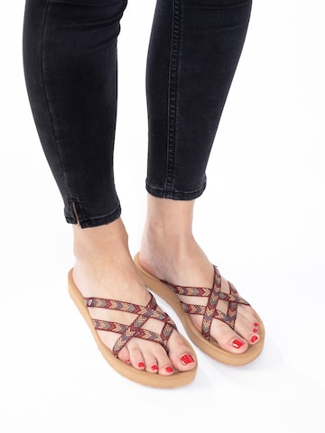 Minnetonka T-bar sandals 'Hanna' in Brown: front