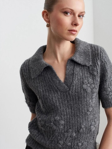 Dilvin Pullover 'Pullover'‌‌‌‌ in Grau: Vorderseite