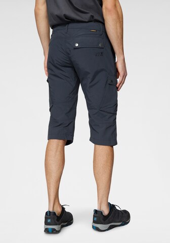 JACK WOLFSKIN Regular Shorts 'Desert Valley' in Blau