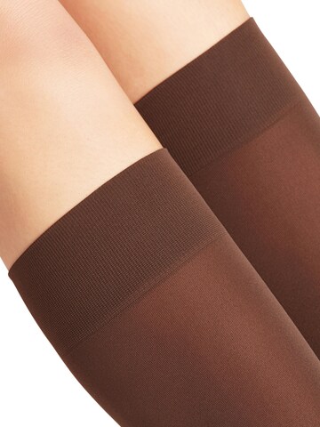 FALKE Over the Knee Socks 'Pure Matt' in Brown