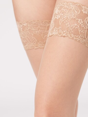 CALZEDONIA Halterlose Strümpfe in Beige
