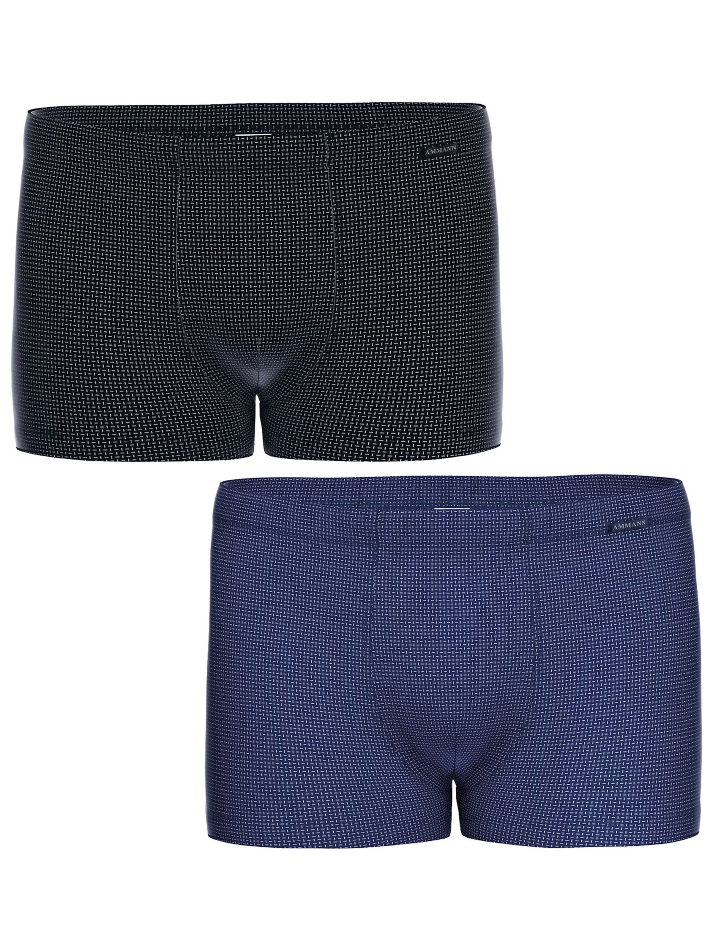 Boxers ' Nelson ' Ammann en bleu : devant