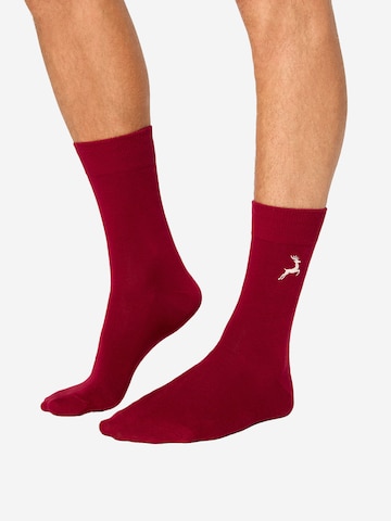 Chaussettes ' Winter Socken ' Nur Die en bleu : devant