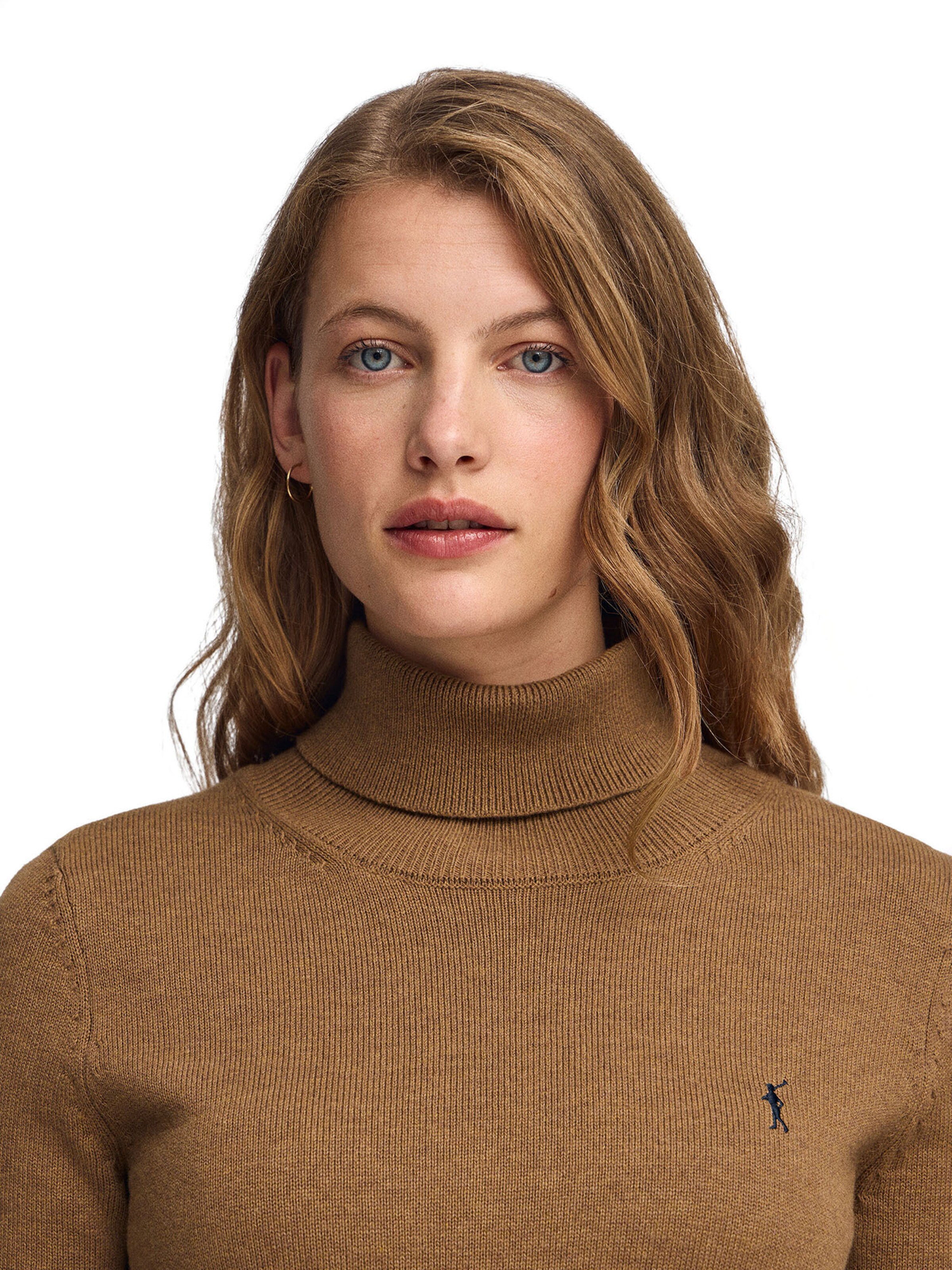 Polo Club Sweater in Brown