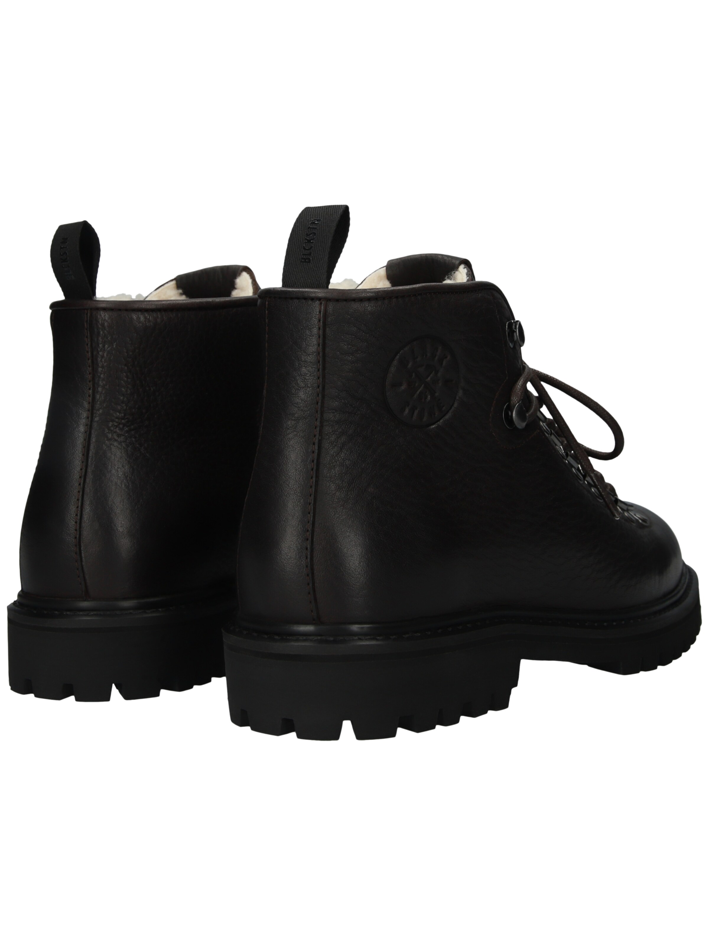 BLACKSTONE Veterboots 'Rock Tarrant EG565' in Bruin