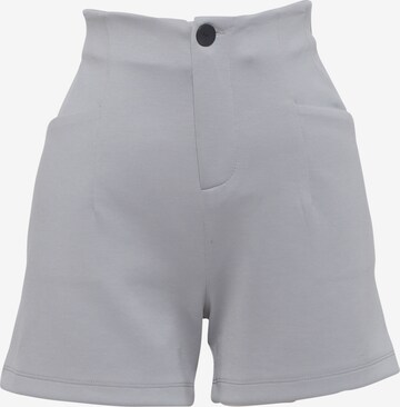 FRESHLIONS Regular Pants 'Lein' in Grey: front