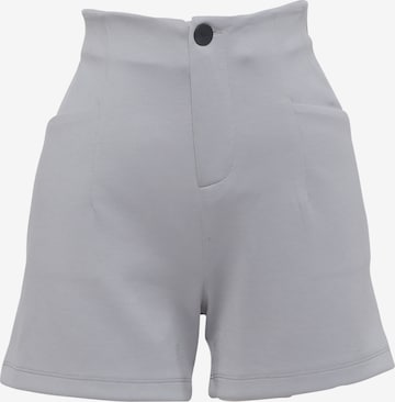 Pantalon 'Lein' FRESHLIONS en gris : devant