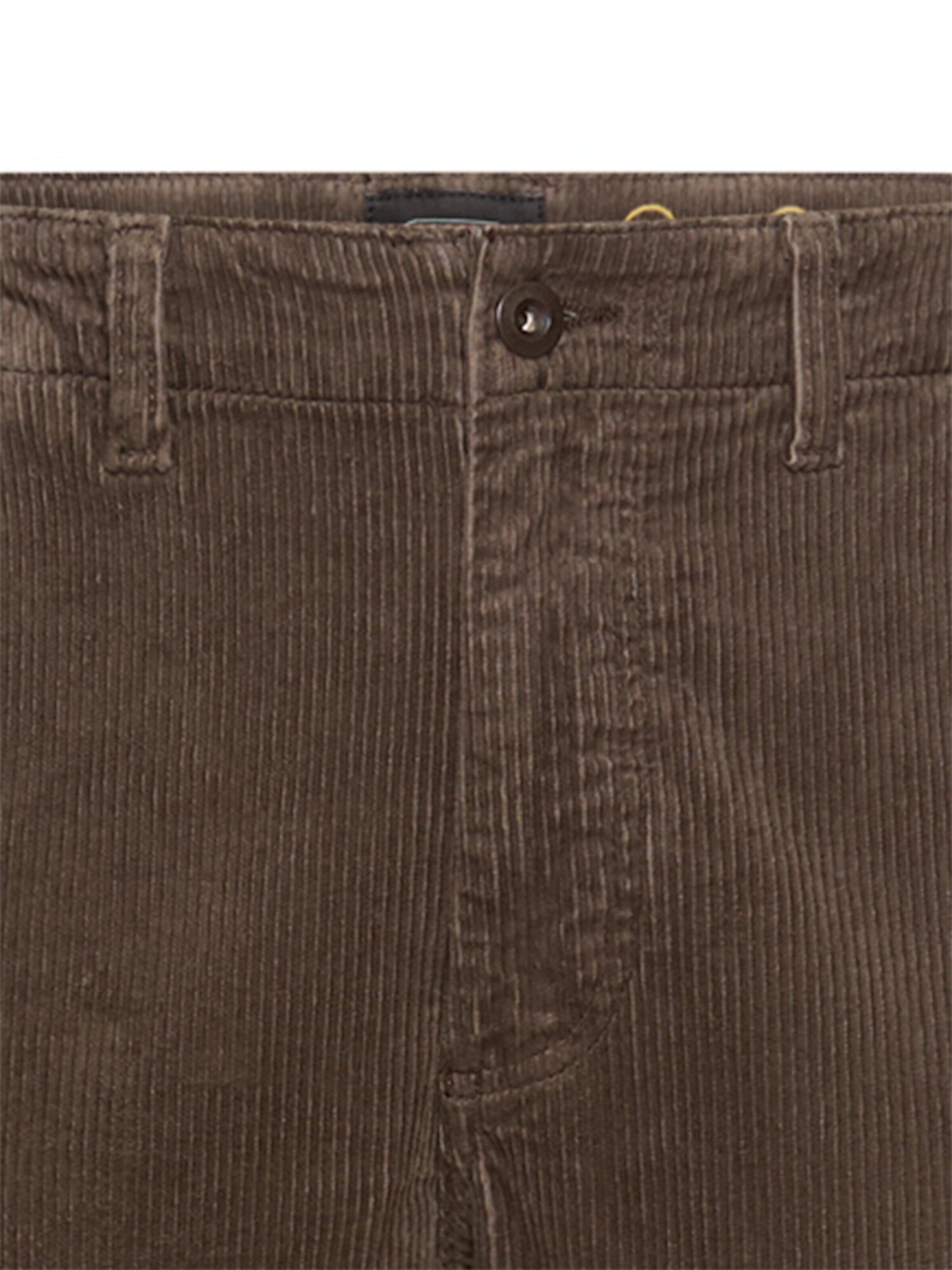 CAMEL ACTIVE Regular Chino Pants in Brown